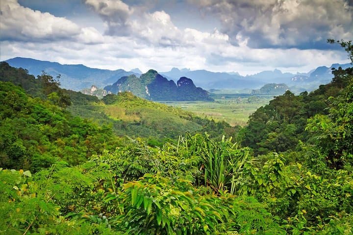 Half-Day Sok River Bamboo Rafting, Monkey Temple & Khao Sok Viewpoint from Khao Lak photo 5