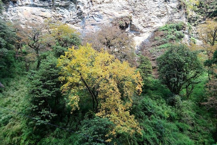 Annapurna Trekking: Poon Hill Himalayan Trek from Pokhara photo 4