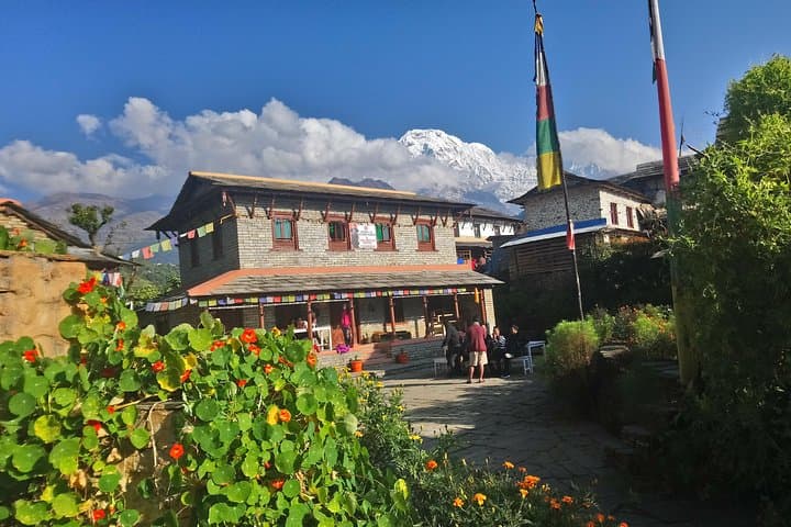 Annapurna Trekking: Poon Hill Himalayan Trek from Pokhara photo 5