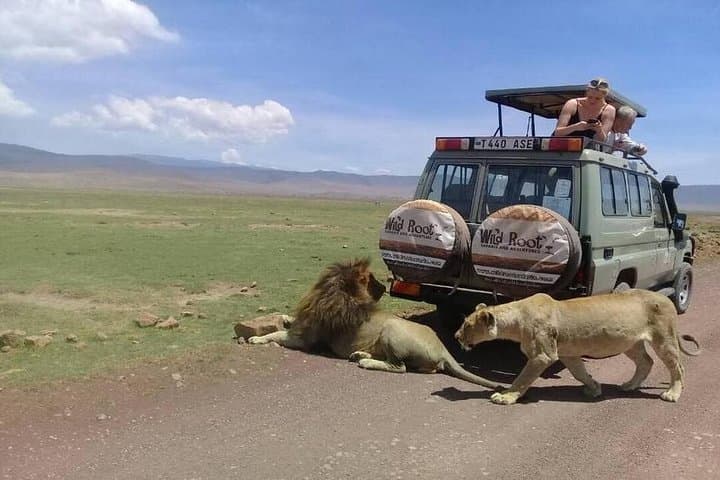 2-Day Tarangire and Ngorongoro Crater Safari from Arusha photo 3