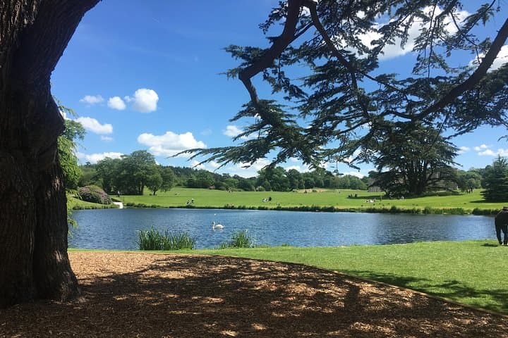 London to Dover Transfer via Leeds Castle - Private Transfer with 2-Hour Castle Stop photo 4
