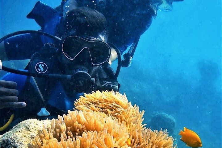 Boat Scuba Diving at Neil Island: Guided Shallow Reef Dives from Bharatpur Beach