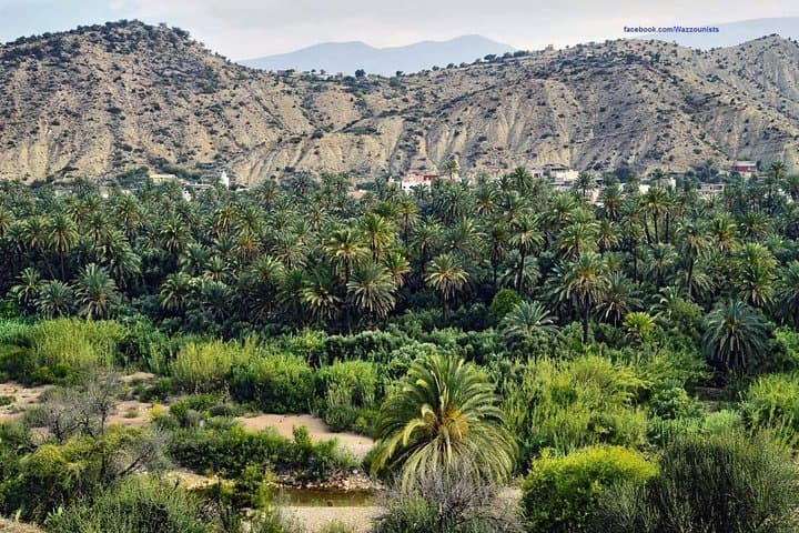 Luxury Overnight Desert Trip from Fez to Marrakech via Merzouga photo 6