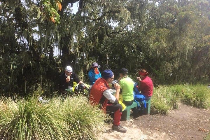 One-Day Marangu Route: Kilimanjaro Day Hike to Mandara Huts