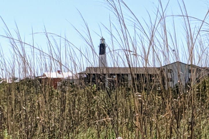 Savannah VIP Full-Day: Private Tour of Squares, Fort Pulaski & Tybee Island photo 5