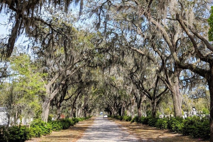 Savannah VIP Full-Day: Private Tour of Squares, Fort Pulaski & Tybee Island photo 4