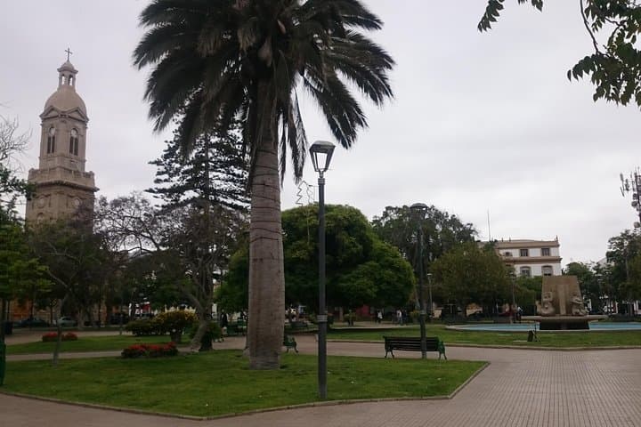 La Serena & Coquimbo City Tour — Short Cruise Shore Excursion Guide photo 2