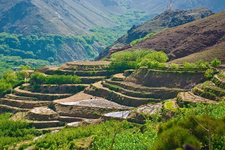 Imlil Atlas Mountains Day Trip from Marrakech — Guided Berber Village Walk photo 4