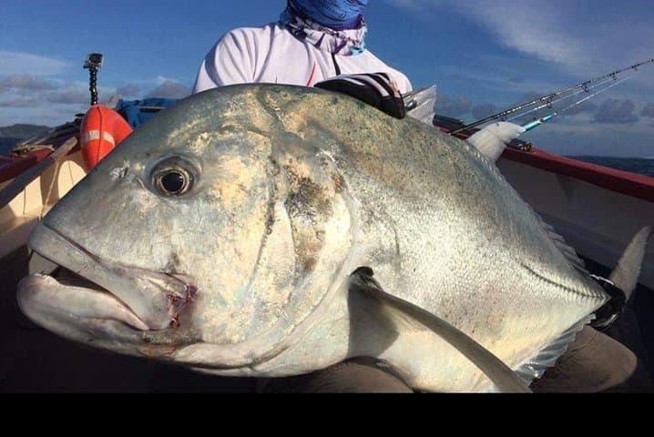 Rodrigues Big-Game Fishing: Popping, Jigging & Live-Bait Charters