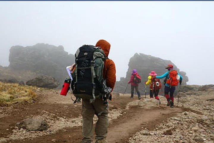6-Day Marangu Route Kilimanjaro: Hut Trek to Uhuru Peak photo 1