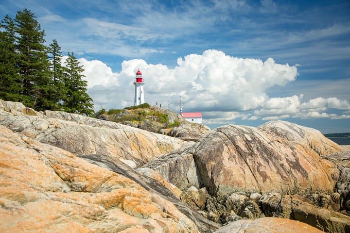 Lighthouse Park & Horseshoe Bay Coastal Hike and Café Tour