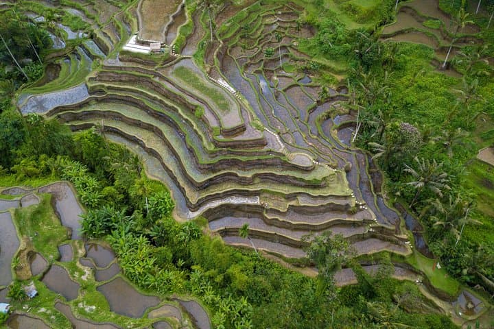 Best of Ubud: Waterfalls, Temples & Rice Terraces Day Tour photo 6