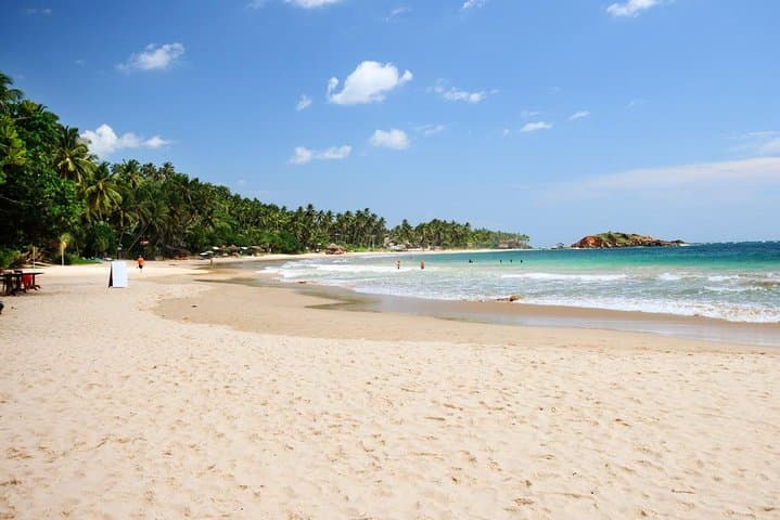 Private 6-Day Highlights Tour Around Sri Lanka — Sigiriya, Kandy, Ella & Mirissa photo 1