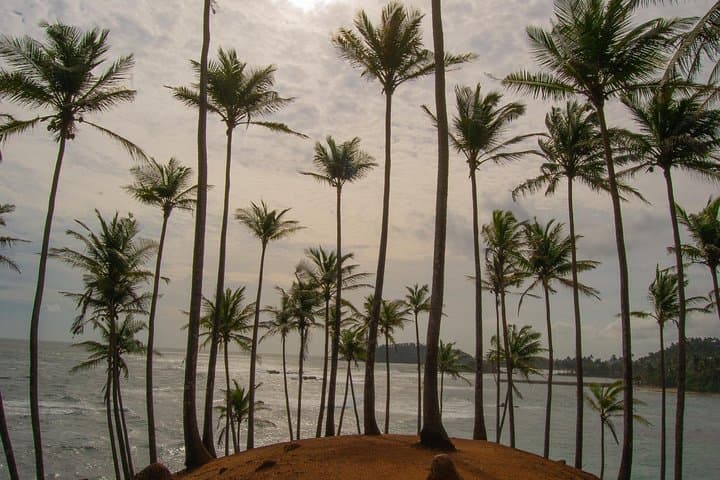 Private 6-Day Highlights Tour Around Sri Lanka — Sigiriya, Kandy, Ella & Mirissa photo 3