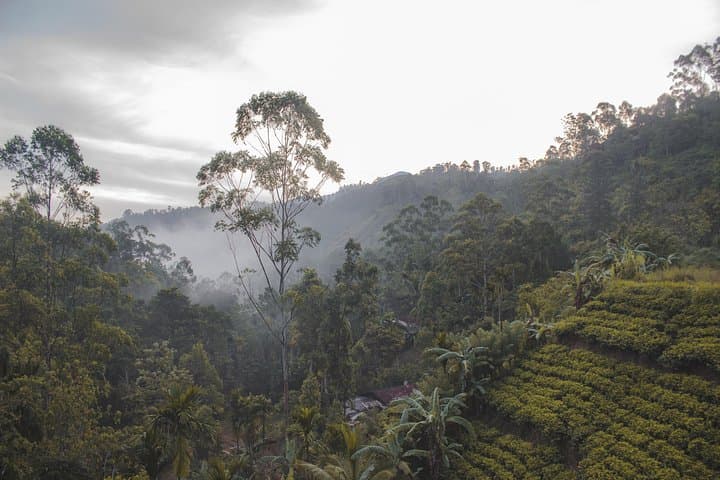 Adventurous Spirit: 18-Day Sri Lanka Hill Country to Coast Road Trip photo 3