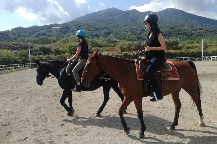 Horse Riding on Mount Vesuvius: Ethological Trails in Vesuvius National Park photo 2