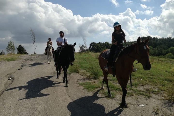 Horse Riding on Mount Vesuvius: Ethological Trails in Vesuvius National Park photo 4