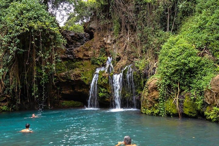 Ngare Ndare Forest Day Trip from Nairobi: Canopy Walk, Waterfall Swim & Wildlife Corridor