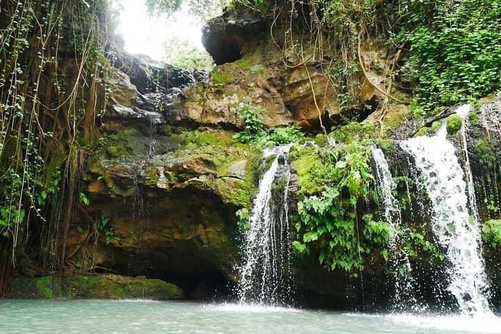 Ngare Ndare Forest Day Trip from Nairobi: Canopy Walk, Waterfall Swim & Wildlife Corridor photo 3
