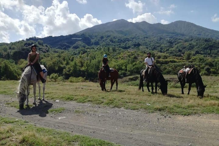 Horse Riding on Mount Vesuvius: Ethological Trails in Vesuvius National Park photo 1