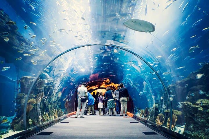 Dubai Mall Shared Hotel Transfer — Easy Ride to Burj Khalifa, VR Park & Aquarium photo 6