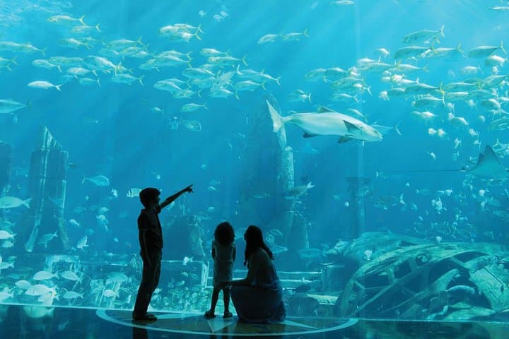 Shared Hotel Transfers to Aquaventure & Lost Chambers at Atlantis The Palm, Dubai photo 6