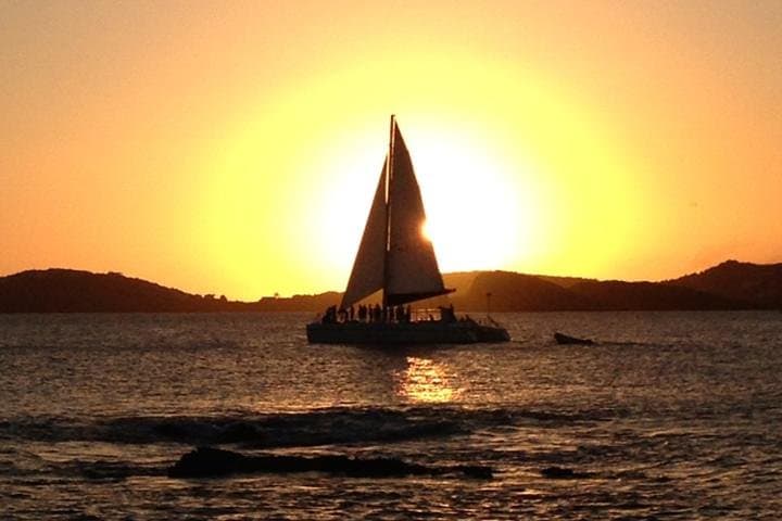 Harbor Lights Dinner Sail in St. Thomas: Sunset Catamaran Cruise from Marriott's Frenchman's Cove photo 4