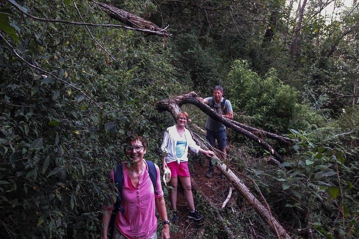 Nuwara Eliya Day Hike and Birdwatching Through Tea Country photo 2