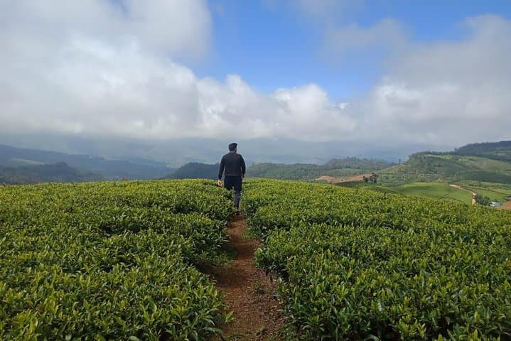 Nuwara Eliya Day Hike and Birdwatching Through Tea Country photo 4