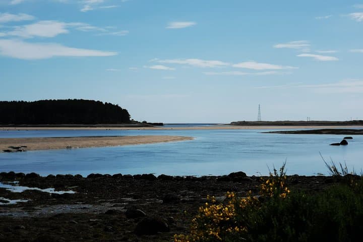 Private Luxury North Route Invergordon Shore Excursion — Castles, Distilleries & Seal Colonies photo 5