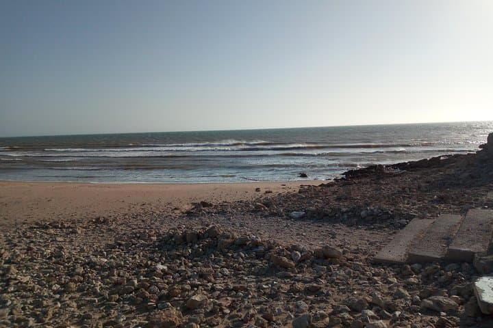 Essaouira Day Trip: Coastal Citadel, Souks & Sea Breezes