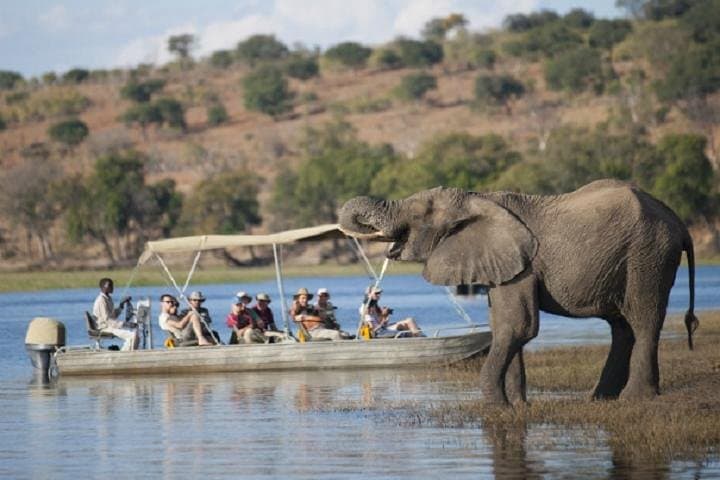 Overnight Chobe Camping Safari: River Cruise, Game Drives & Riverside Camp photo 3