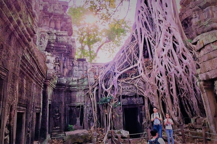 Private Angkor Wat Temple Tour from Siem Reap — Angkor Wat, Angkor Thom, Ta Prohm & Banteay Srei photo 4