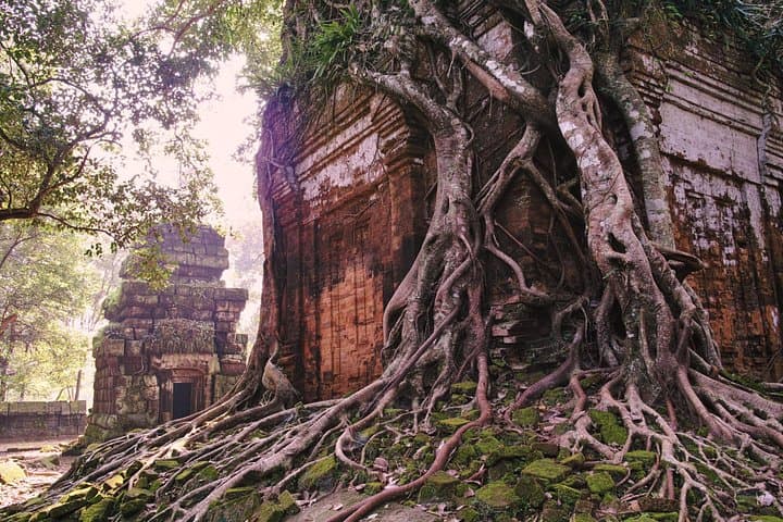 Two-Day Remote Temples and Khmer Rouge Sites from Siem Reap — Koh Ker, Beng Mealea & Preah Vihear photo 1