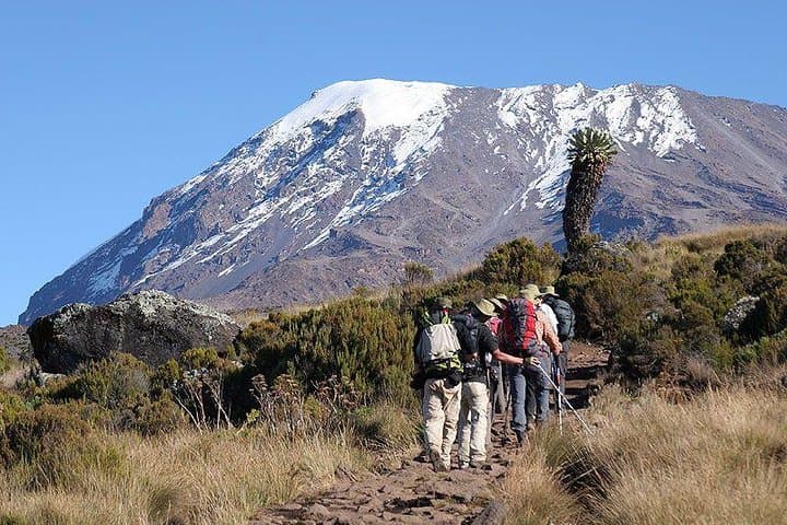 Marangu Route: Classic 5-Day Trek to Uhuru Peak on Mount Kilimanjaro photo 2
