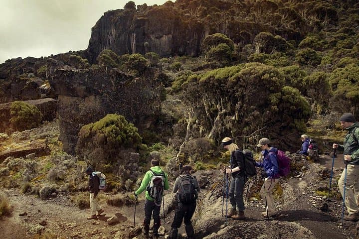 Machame Route on Mount Kilimanjaro: 6-Day Summit Trek to Uhuru Peak photo 2