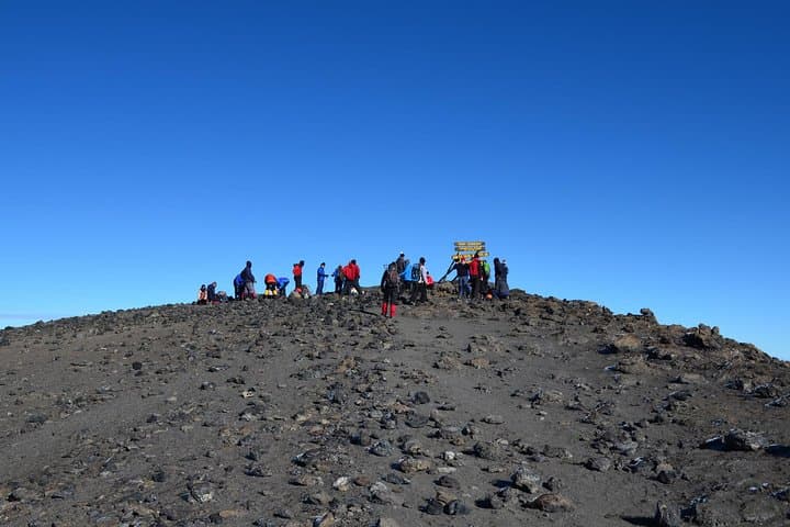 Lemosho Route Mount Kilimanjaro: 7-Day Trek to Uhuru Peak photo 6