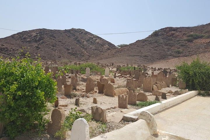 Salalah East & West Full-Day Tour — Taqah, Khor Rori, Mirbat & Mughsail photo 4
