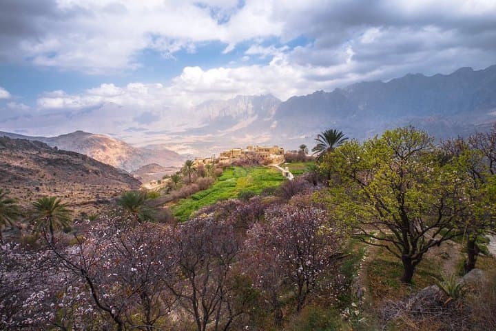 Salalah East & West Full-Day Tour — Taqah, Khor Rori, Mirbat & Mughsail photo 1