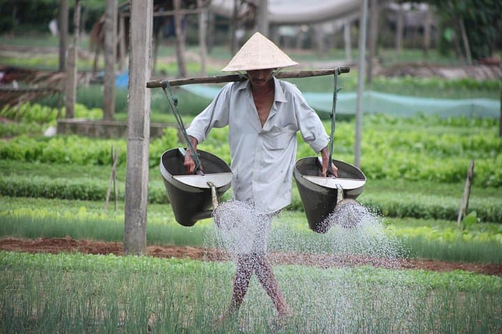 Hoi An Countryside Cycling and Basket-Boat Cultural Tour photo 2