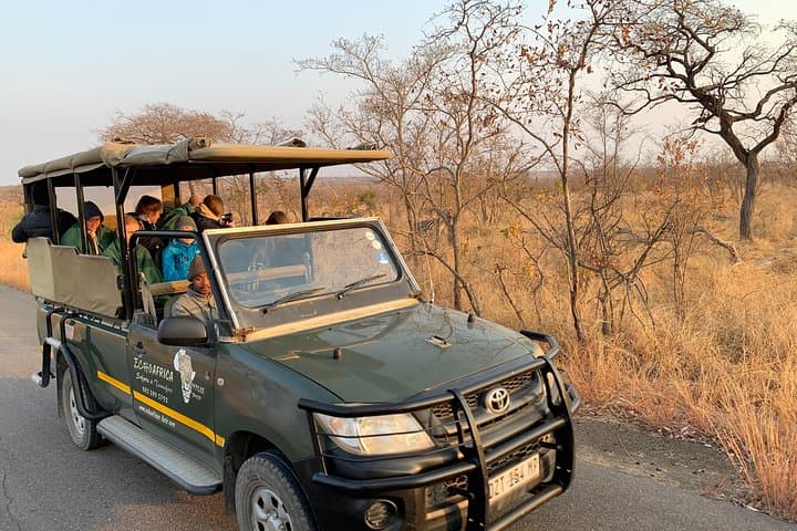 Big-5-Pilanesberg-Safari-Day-Trip-from-Johannesburg photo 1