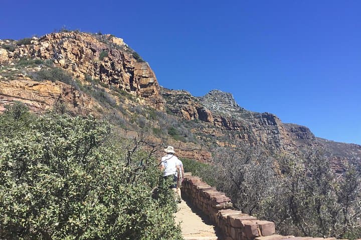 Full-Day Cape of Good Hope Private Tour: Penguins, Cape Point & Wine Tasting photo 3