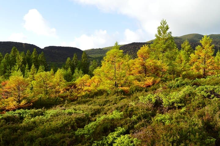 Mistérios Negros Hiking Trail: Half-Day Volcanic Hike in Terceira, Azores photo 4