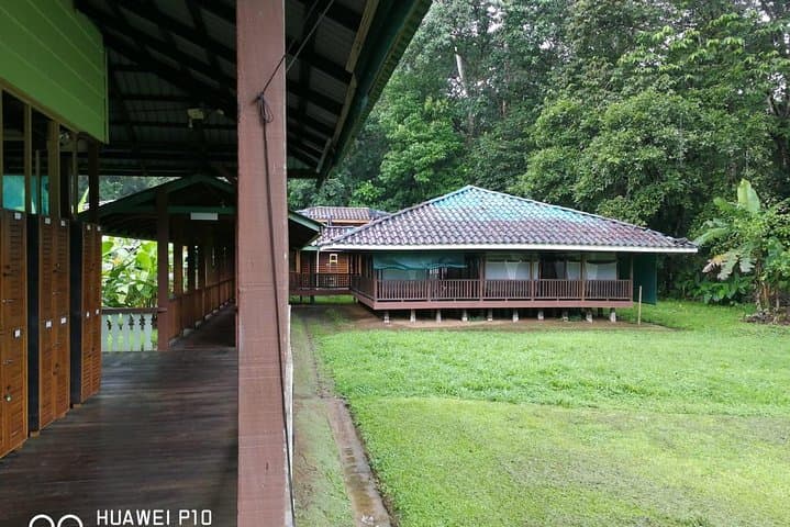 Overnight at Sirena: 2-Day Corcovado National Park Camping Tour photo 6