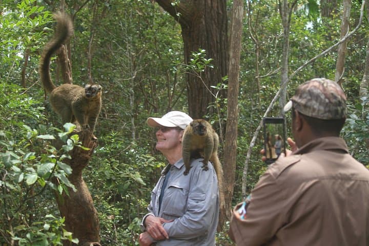 Weekend Wildlife: Andasibe Two-Day Madagascar Lemur & Reptile Tour photo 4