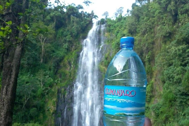 Materuni Waterfalls & Coffee Tour — Hike, Swim & Taste Chagga Coffee photo 1