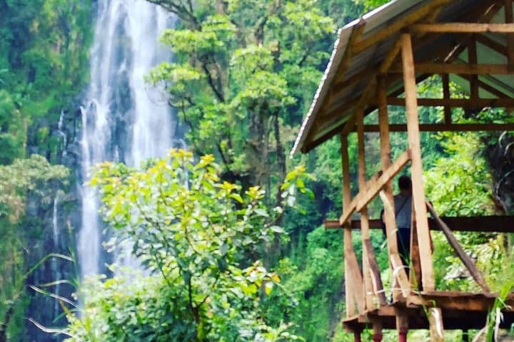 Materuni Waterfalls & Coffee Tour — Hike, Swim & Taste Chagga Coffee photo 4