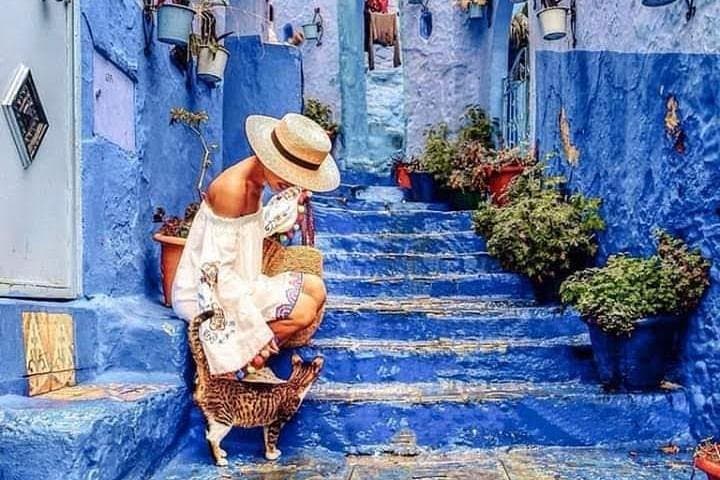 Day Trip to Chefchaouen: Blue City Private Tour from Fez photo 6