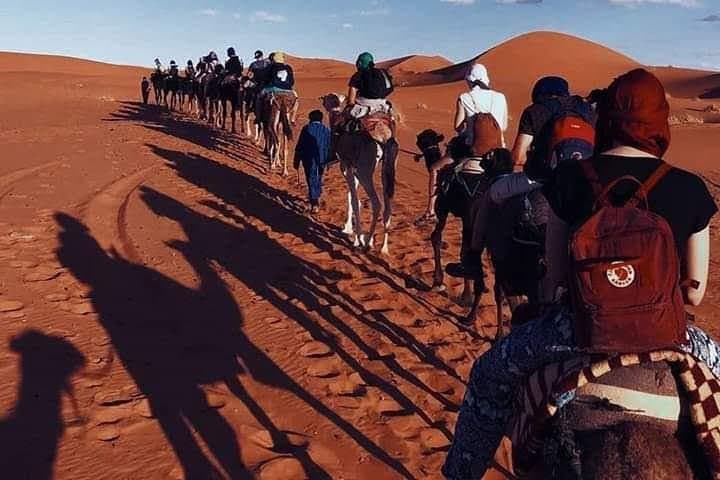 Luxury Overnight Desert Camp & Camel Trek from Fez to Merzouga photo 4
