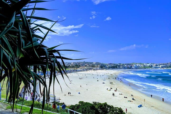 Private Sydney Afternoon Tour - Opera House, Harbour Bridge & Bondi Beach photo 6